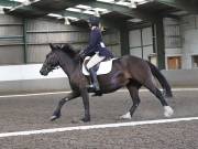 Image 80 in DRESSAGE AT NEWTON HALL EQUITATION. 1 SEPT. 2019