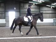 Image 81 in DRESSAGE AT NEWTON HALL EQUITATION. 1 SEPT. 2019