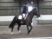 Image 82 in DRESSAGE AT NEWTON HALL EQUITATION. 1 SEPT. 2019