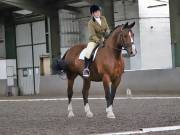 Image 85 in DRESSAGE AT NEWTON HALL EQUITATION. 1 SEPT. 2019