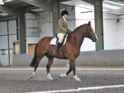 Image 86 in DRESSAGE AT NEWTON HALL EQUITATION. 1 SEPT. 2019