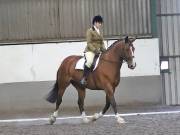 Image 87 in DRESSAGE AT NEWTON HALL EQUITATION. 1 SEPT. 2019