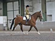 Image 88 in DRESSAGE AT NEWTON HALL EQUITATION. 1 SEPT. 2019