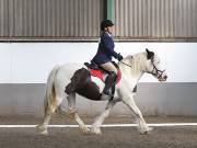 Image 9 in DRESSAGE AT NEWTON HALL EQUITATION. 1 SEPT. 2019