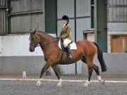 Image 90 in DRESSAGE AT NEWTON HALL EQUITATION. 1 SEPT. 2019