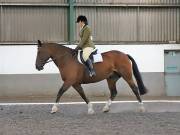 Image 91 in DRESSAGE AT NEWTON HALL EQUITATION. 1 SEPT. 2019