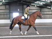 Image 92 in DRESSAGE AT NEWTON HALL EQUITATION. 1 SEPT. 2019