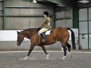 Image 95 in DRESSAGE AT NEWTON HALL EQUITATION. 1 SEPT. 2019