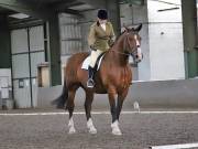 Image 97 in DRESSAGE AT NEWTON HALL EQUITATION. 1 SEPT. 2019