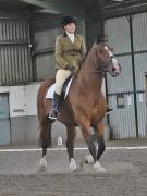 Image 98 in DRESSAGE AT NEWTON HALL EQUITATION. 1 SEPT. 2019