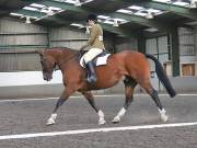 Image 99 in DRESSAGE AT NEWTON HALL EQUITATION. 1 SEPT. 2019