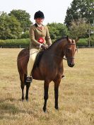 Image 12 in SUFFOLK RIDING CLUB. ANNUAL SHOW. 4 AUGUST 2018. THE ROSETTES.