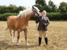 Image 18 in SUFFOLK RIDING CLUB. ANNUAL SHOW. 4 AUGUST 2018. THE ROSETTES.