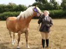 Image 19 in SUFFOLK RIDING CLUB. ANNUAL SHOW. 4 AUGUST 2018. THE ROSETTES.