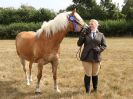 Image 20 in SUFFOLK RIDING CLUB. ANNUAL SHOW. 4 AUGUST 2018. THE ROSETTES.