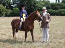 Image 28 in SUFFOLK RIDING CLUB. ANNUAL SHOW. 4 AUGUST 2018. THE ROSETTES.