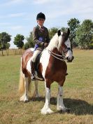 Image 30 in SUFFOLK RIDING CLUB. ANNUAL SHOW. 4 AUGUST 2018. THE ROSETTES.