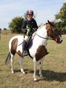 Image 33 in SUFFOLK RIDING CLUB. ANNUAL SHOW. 4 AUGUST 2018. THE ROSETTES.