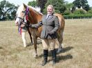 Image 4 in SUFFOLK RIDING CLUB. ANNUAL SHOW. 4 AUGUST 2018. THE ROSETTES.