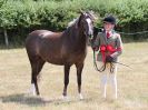 Image 40 in SUFFOLK RIDING CLUB. ANNUAL SHOW. 4 AUGUST 2018. THE ROSETTES.