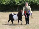Image 41 in SUFFOLK RIDING CLUB. ANNUAL SHOW. 4 AUGUST 2018. THE ROSETTES.