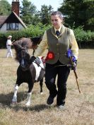 Image 42 in SUFFOLK RIDING CLUB. ANNUAL SHOW. 4 AUGUST 2018. THE ROSETTES.
