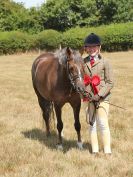 Image 45 in SUFFOLK RIDING CLUB. ANNUAL SHOW. 4 AUGUST 2018. THE ROSETTES.
