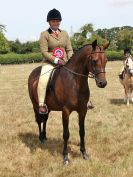 Image 49 in SUFFOLK RIDING CLUB. ANNUAL SHOW. 4 AUGUST 2018. THE ROSETTES.