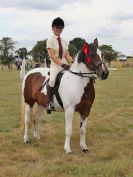Image 54 in SUFFOLK RIDING CLUB. ANNUAL SHOW. 4 AUGUST 2018. THE ROSETTES.