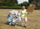 Image 57 in SUFFOLK RIDING CLUB. ANNUAL SHOW. 4 AUGUST 2018. THE ROSETTES.