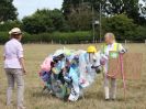 Image 61 in SUFFOLK RIDING CLUB. ANNUAL SHOW. 4 AUGUST 2018. THE ROSETTES.