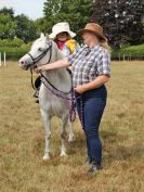 Image 66 in SUFFOLK RIDING CLUB. ANNUAL SHOW. 4 AUGUST 2018. THE ROSETTES.