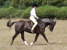 Image 74 in SUFFOLK RIDING CLUB. ANNUAL SHOW. 4 AUGUST 2018. THE ROSETTES.