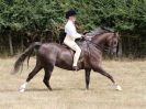 Image 75 in SUFFOLK RIDING CLUB. ANNUAL SHOW. 4 AUGUST 2018. THE ROSETTES.