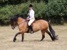 Image 78 in SUFFOLK RIDING CLUB. ANNUAL SHOW. 4 AUGUST 2018. THE ROSETTES.