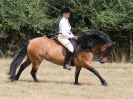 Image 82 in SUFFOLK RIDING CLUB. ANNUAL SHOW. 4 AUGUST 2018. THE ROSETTES.