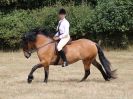 Image 83 in SUFFOLK RIDING CLUB. ANNUAL SHOW. 4 AUGUST 2018. THE ROSETTES.