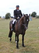 Image 89 in SUFFOLK RIDING CLUB. ANNUAL SHOW. 4 AUGUST 2018. THE ROSETTES.