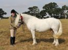 Image 9 in SUFFOLK RIDING CLUB. ANNUAL SHOW. 4 AUGUST 2018. THE ROSETTES.