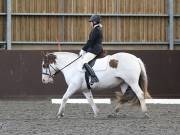 Image 102 in DRESSAGE AT WORLD HORSE WELFARE. 7TH SEPTEMBER 2019