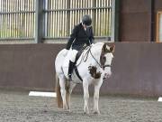 Image 105 in DRESSAGE AT WORLD HORSE WELFARE. 7TH SEPTEMBER 2019