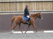 Image 11 in DRESSAGE AT WORLD HORSE WELFARE. 7TH SEPTEMBER 2019