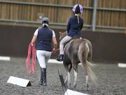 Image 110 in DRESSAGE AT WORLD HORSE WELFARE. 7TH SEPTEMBER 2019