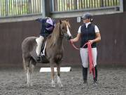 Image 128 in DRESSAGE AT WORLD HORSE WELFARE. 7TH SEPTEMBER 2019