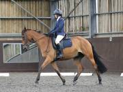 Image 132 in DRESSAGE AT WORLD HORSE WELFARE. 7TH SEPTEMBER 2019