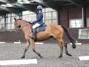 Image 133 in DRESSAGE AT WORLD HORSE WELFARE. 7TH SEPTEMBER 2019