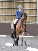 Image 138 in DRESSAGE AT WORLD HORSE WELFARE. 7TH SEPTEMBER 2019
