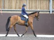 Image 139 in DRESSAGE AT WORLD HORSE WELFARE. 7TH SEPTEMBER 2019