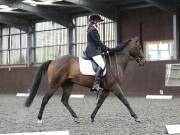 Image 14 in DRESSAGE AT WORLD HORSE WELFARE. 7TH SEPTEMBER 2019