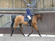 Image 140 in DRESSAGE AT WORLD HORSE WELFARE. 7TH SEPTEMBER 2019